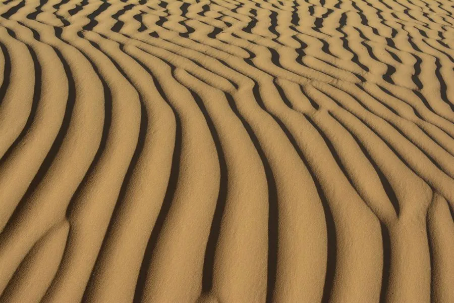 Vidéos du Sahara