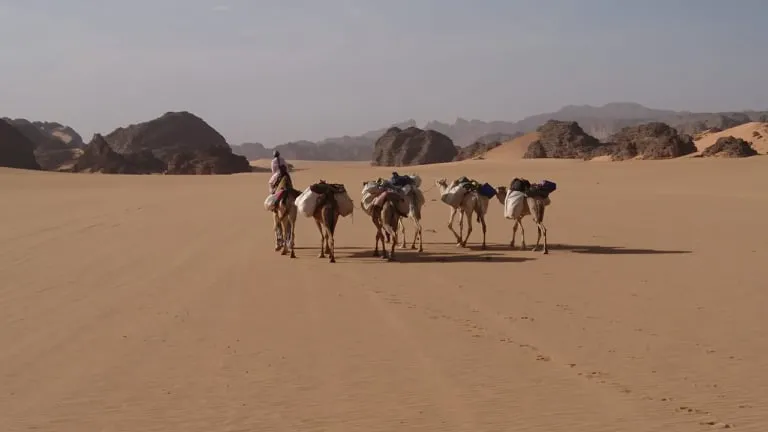 Explorez Djanet, la Perle du Sahara Algérien — 3