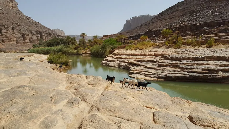 Circuit Oasis Ihrir — 3