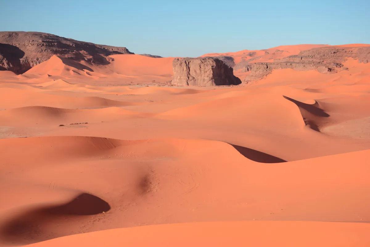 À la Découverte des Arts Rupestres et de l'Histoire Fascinante du Sahara Algérien — 2