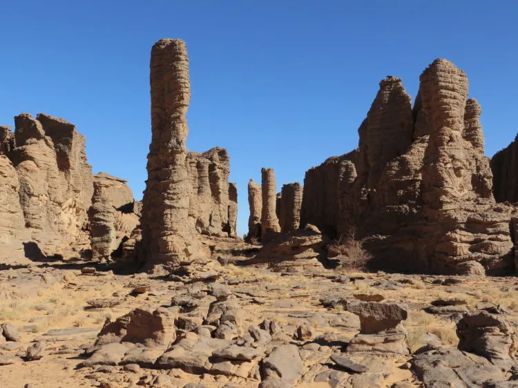 À la Découverte des Arts Rupestres et de l'Histoire Fascinante du Sahara Algérien — 1