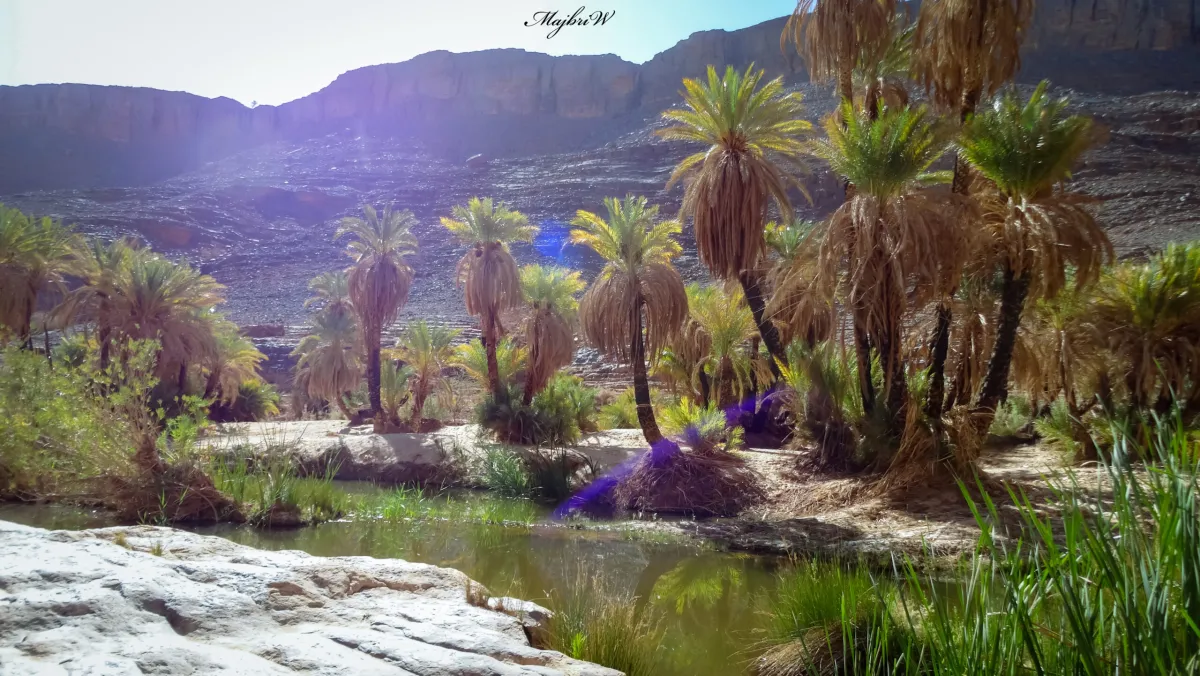 Circuit Oasis Ihrir — 1